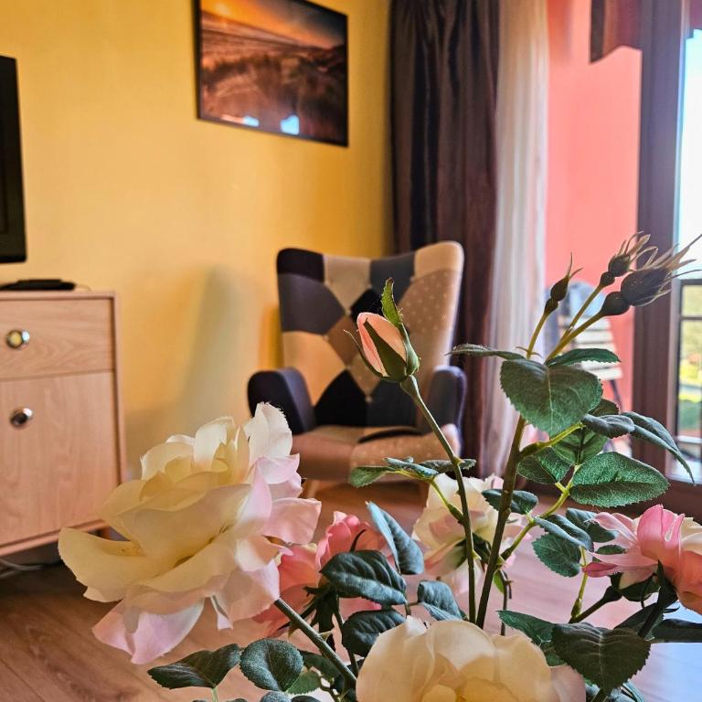 ''Les Arènes'' - WIFI - DRAPS - THERMES - Appartement 1 Chambre - 20