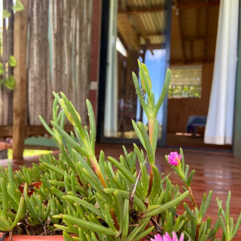 Studio Sunset Rapa Nui - One-Bedroom House - 3