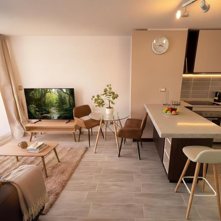 Zona Centro I Movistar Arena I 1H1B - One-Bedroom Apartment - 1