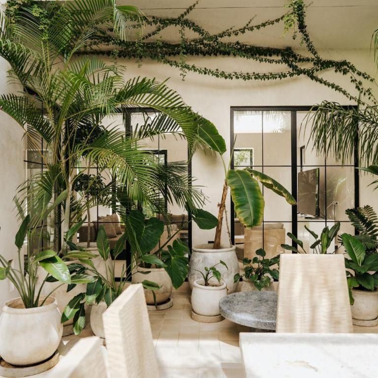 Casa Moderna Tulum - Apartamento - 53