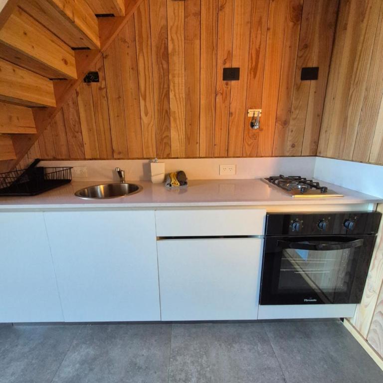 Dachas Patagonia - One-Bedroom Apartment - 14