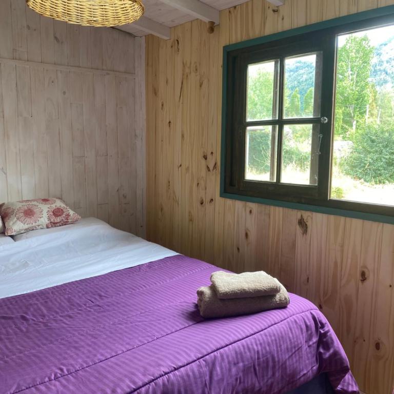 Lugar bonito tiny house - One-Bedroom Apartment - 7