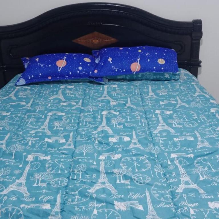 Beautiful, quiet and comfortable apartment - Two-Bedroom Apartment - 1
