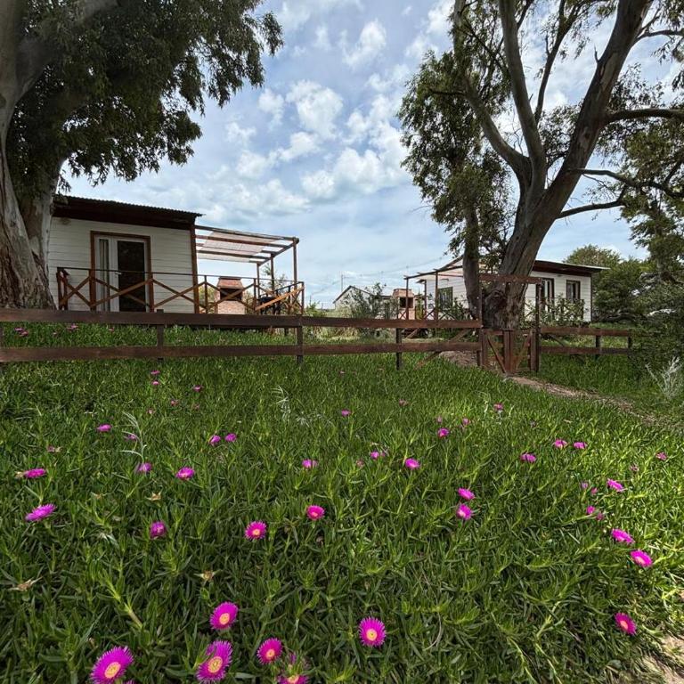 Cabañas Dolcevita Sauce Grande - Casa con 1 dormitorio - 7