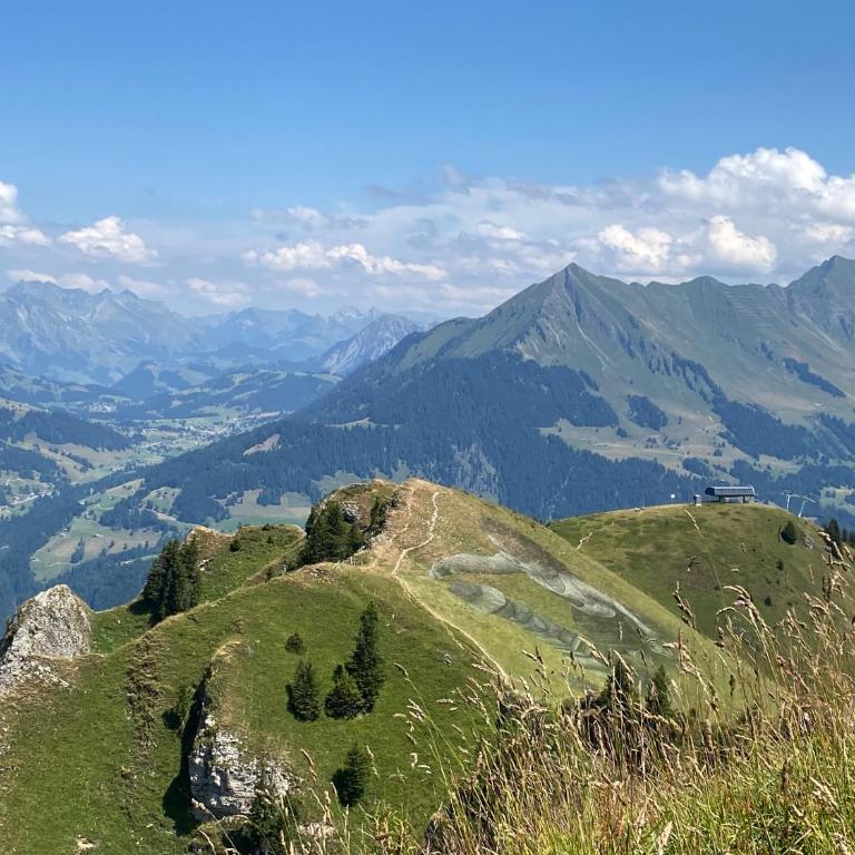 Central flat in Villars sur Ollon, Amethyste, for 4, with two double beds, balcony and 75m to ski-train - Apartment mit 1 Schlafzimmer - 27