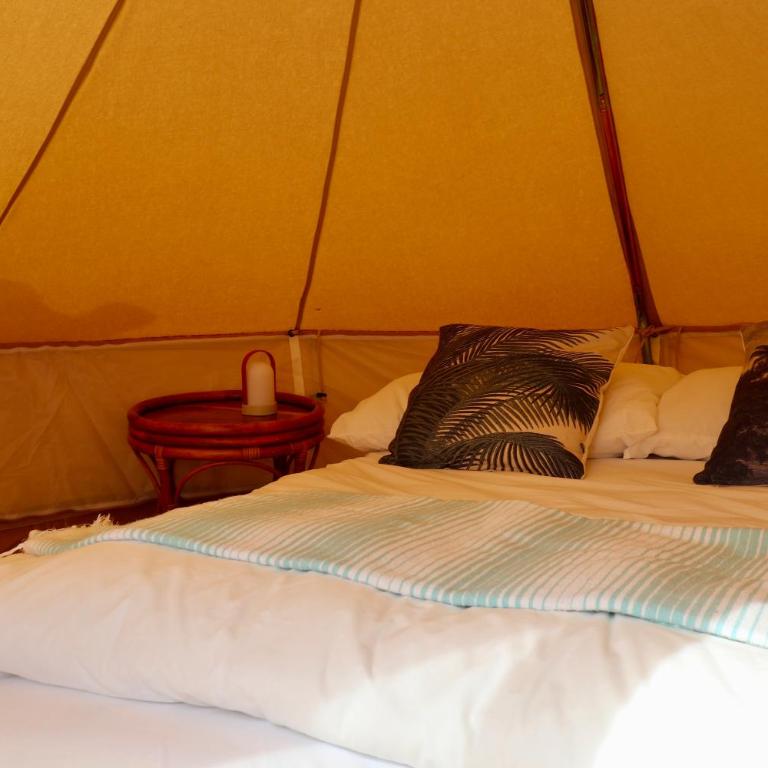 Whale Tales Hostel - Standard Double Room - 6