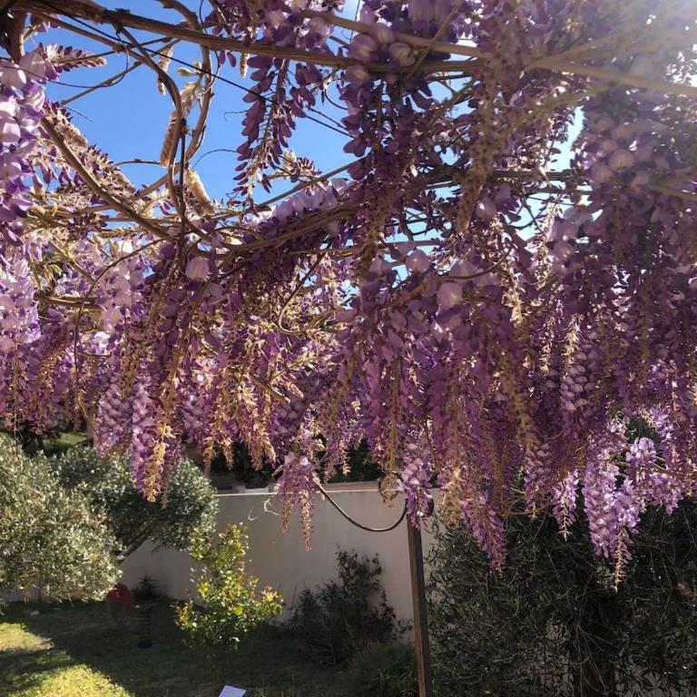 villa Provençal près de la mer - Haus mit 4 Schlafzimmern - 6