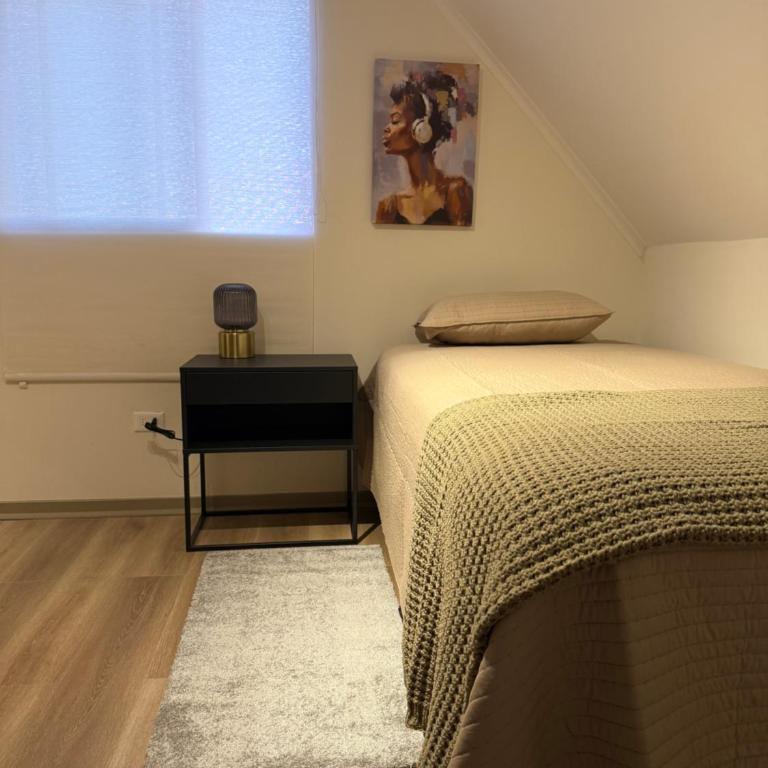 Cómoda casa con 3 habitaciones de lujo en Talca - Villa - 51