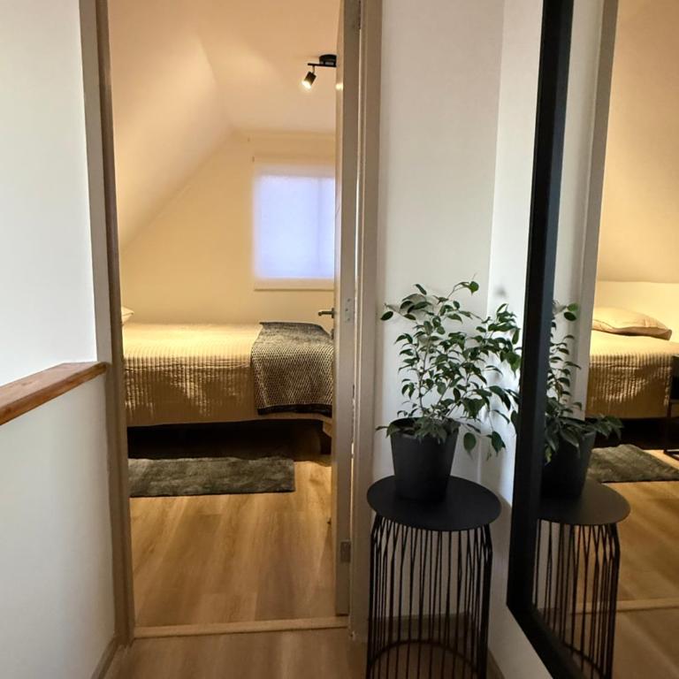 Cómoda casa con 3 habitaciones de lujo en Talca - Villa - 48