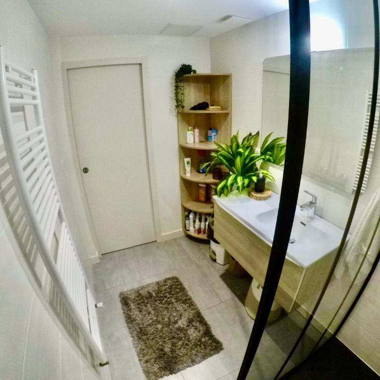 Charming & cosy rooms Nantes (chambres chez l'habitant) - Chambre Double Standard avec Salle de Bains Commune - 4