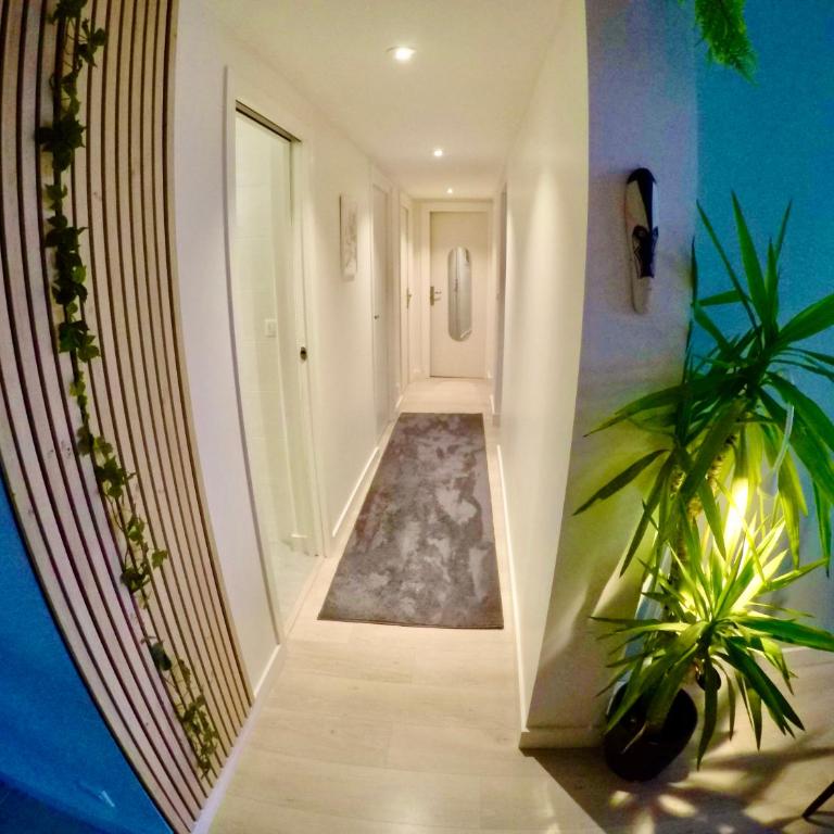 Charming & cosy rooms Nantes (chambres chez l'habitant) - Chambre Double Standard avec Salle de Bains Commune - 6