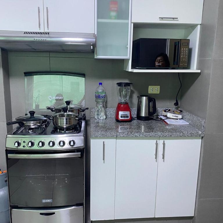 Hermoso apartamento de 3 habitaciones frente a parque en San Isidro - Two-Bedroom Apartment - 11
