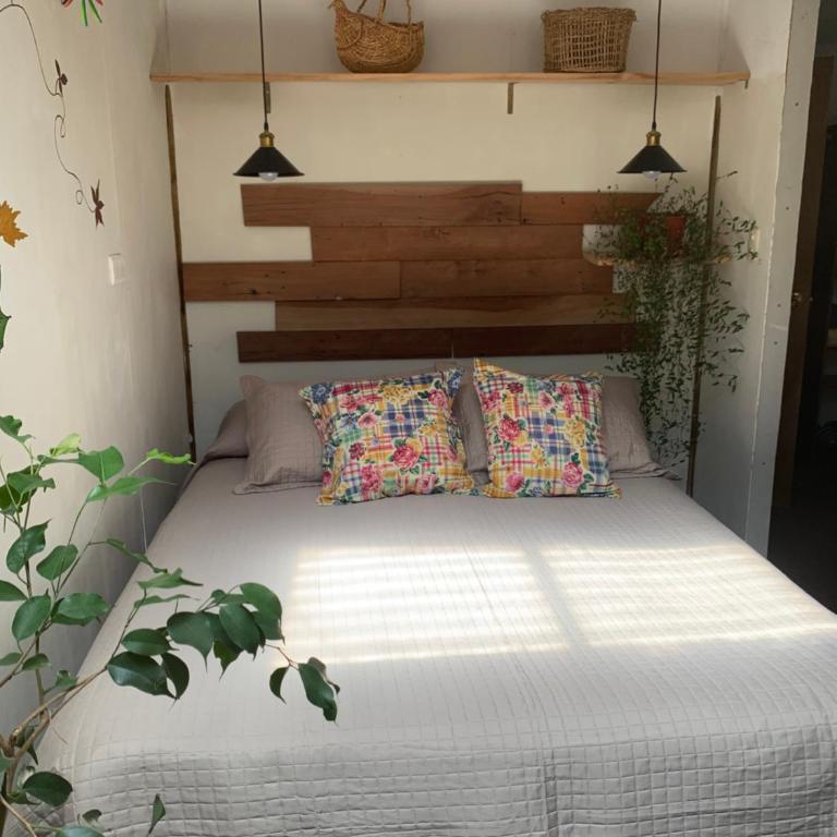 Cabaña entre parras - One-Bedroom House - 9