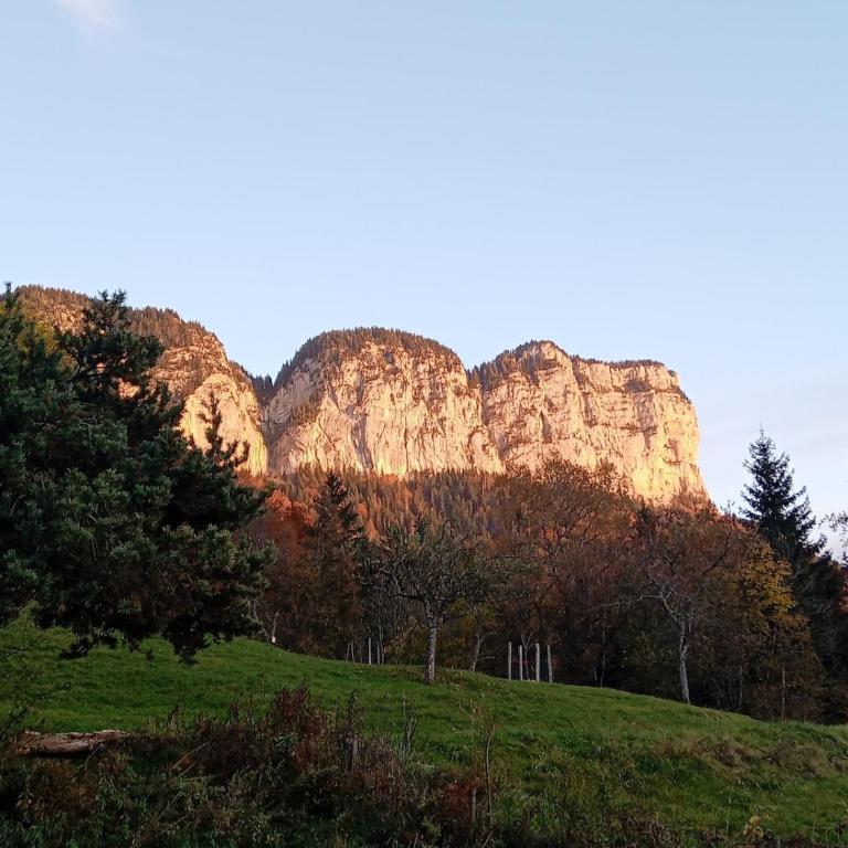 Petit chalet l Authentique Annecy - Chalet 2 Chambres - 12