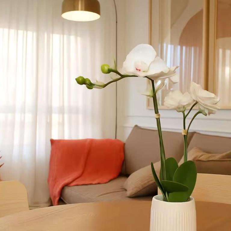 Vanguardia Apartments - Metro Manquehue - One-Bedroom Deluxe Apartment - 16