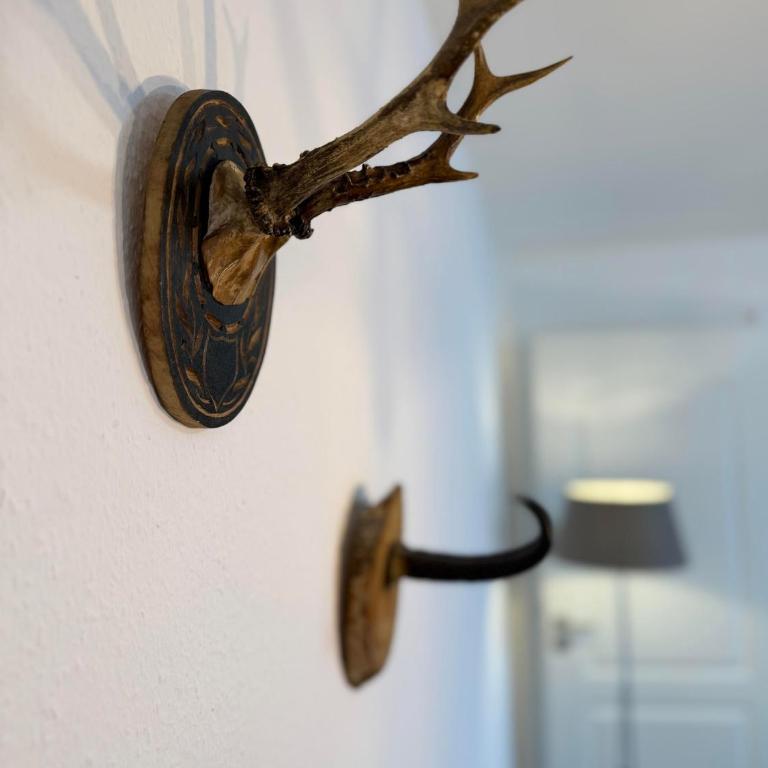 Deine Bergzeit - fewo-badhindelang - Apartment mit 1 Schlafzimmer - 3