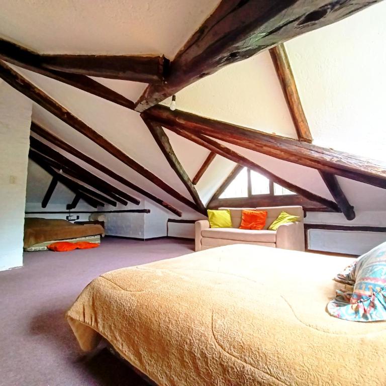 Pifo Pool House free Airport pickup Tours - Three-Bedroom House - 20