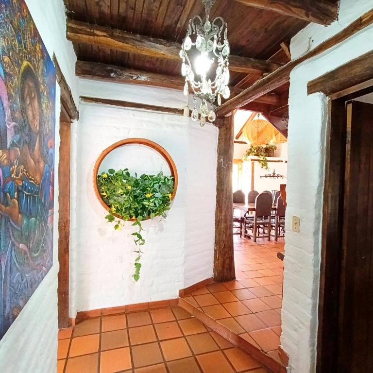 Pifo Pool House free Airport pickup Tours - Three-Bedroom House - 19