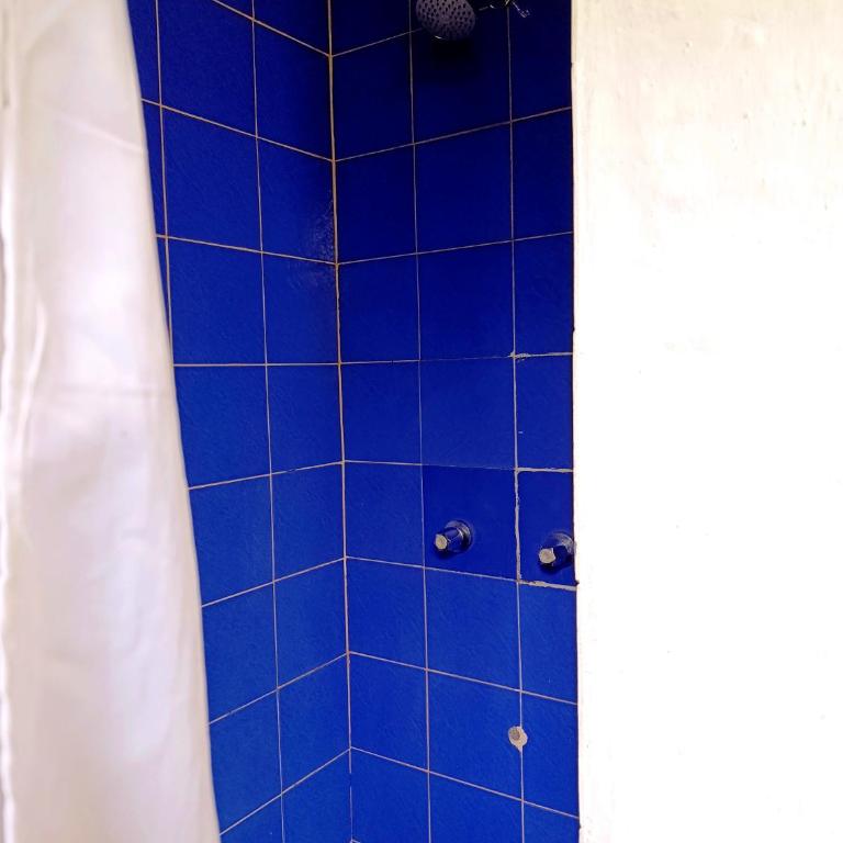 Pifo Pool House free Airport pickup Tours - Three-Bedroom House - 33