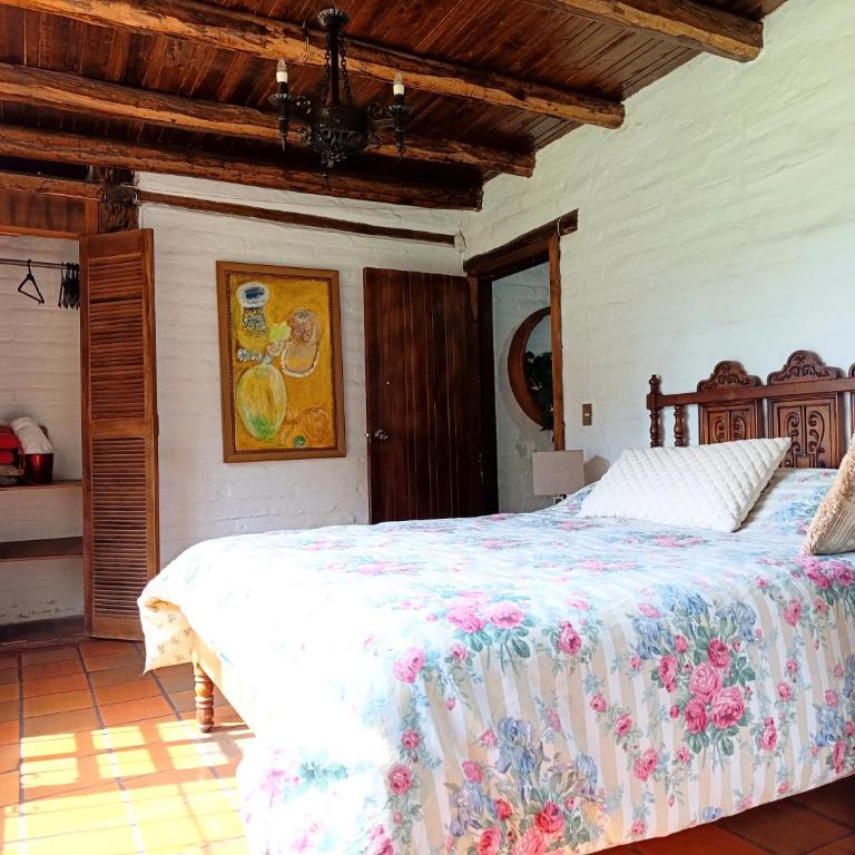 Pifo Pool House free Airport pickup Tours - Three-Bedroom House - 31