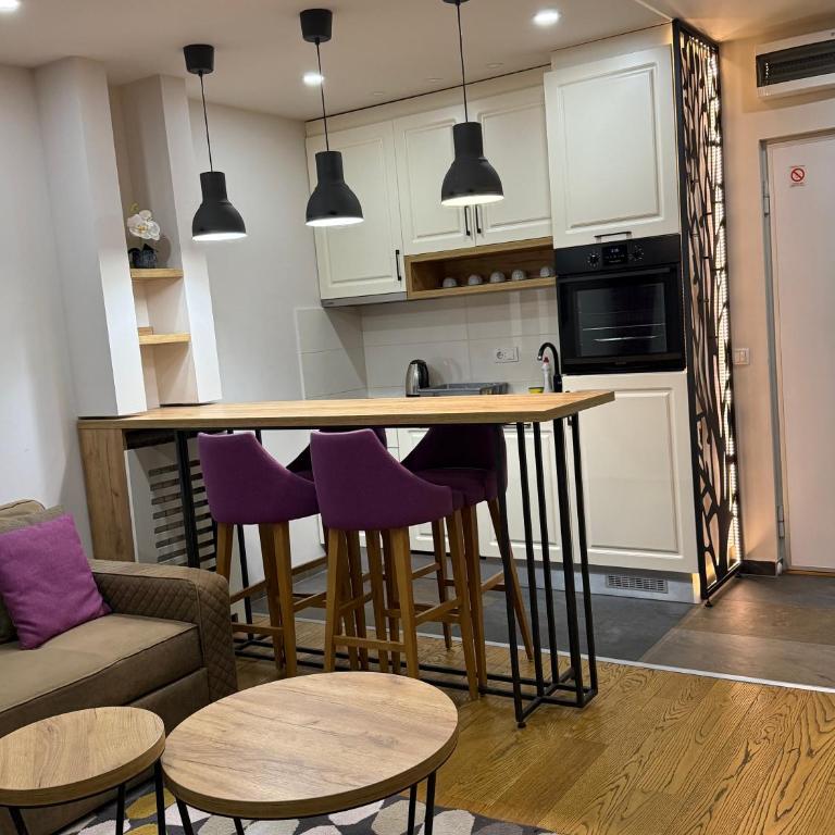 Vila Iskra - Apartman sa 1 Spavaćom Sobom - 12