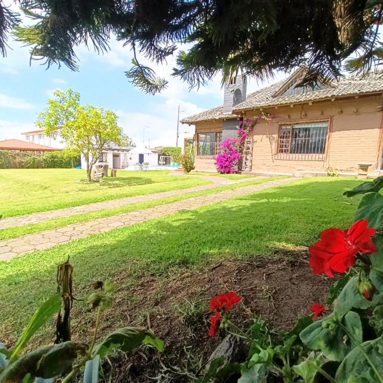 Pifo Pool House free Airport pickup Tours - Three-Bedroom House - 44