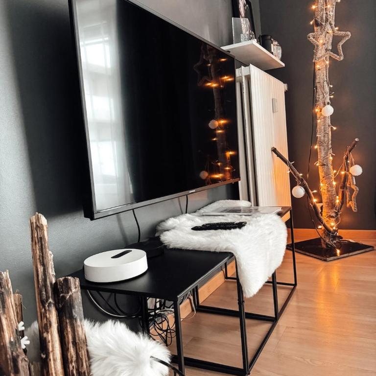 Le cocon Blånc Metz -T2 cosy avec parking privé & balcon - Gare, Nouvelle Ville - Appartement 1 Chambre - 17