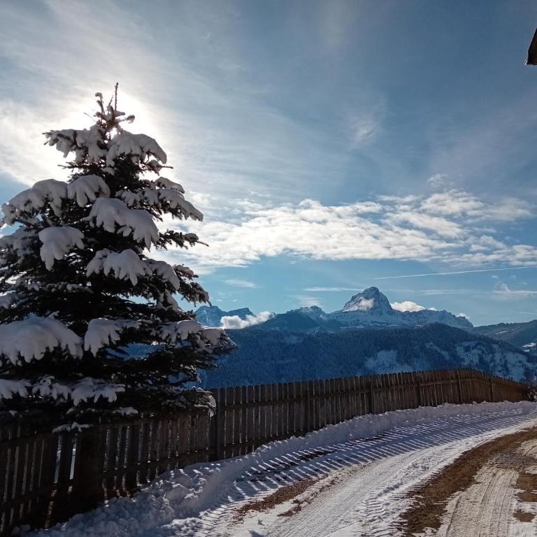 Lü de Terza - Appartamento con 2 Camere da Letto e con Vista Montagna - 14