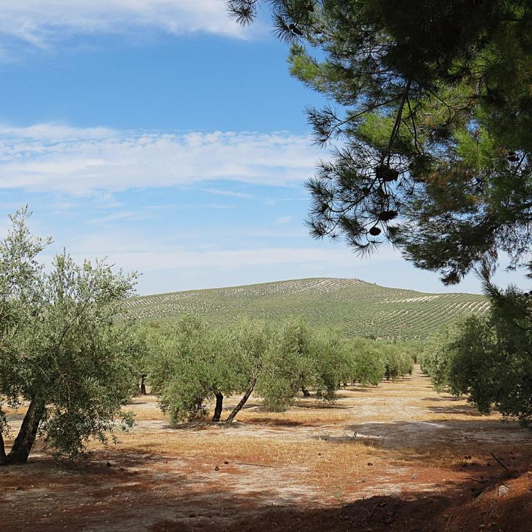 Alojamiento San Juan Bautista - Double Room with Private Bathroom - 21