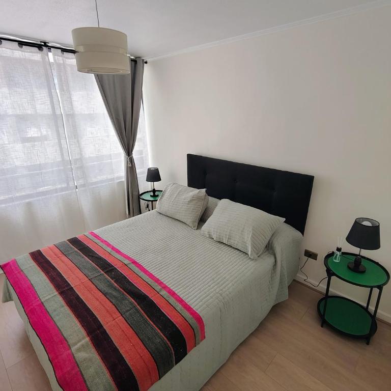 Nilo Azul - One-Bedroom Apartment - 2