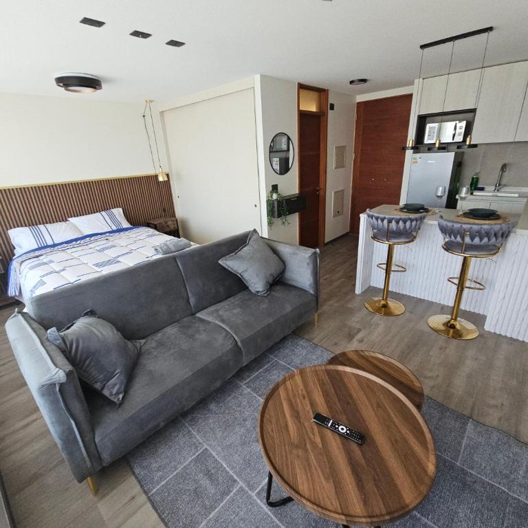 Departamento centrico - One-Bedroom Apartment - 5