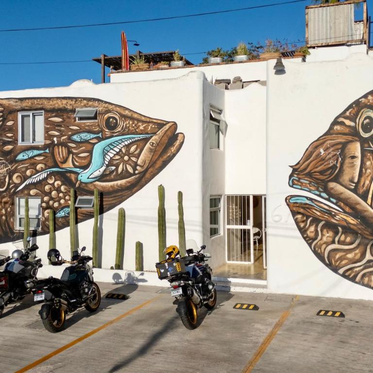 Villa Esterito - La Paz Baja California Sur - Suite Deluxe - 23