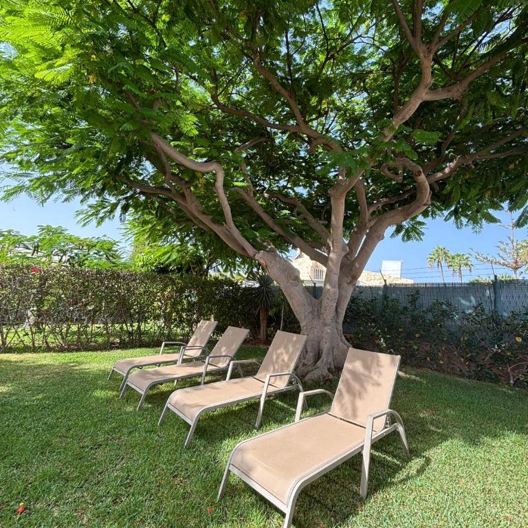 Flamboyant Tree Garden Holiday Home - Casa de 2 dormitorios - 15