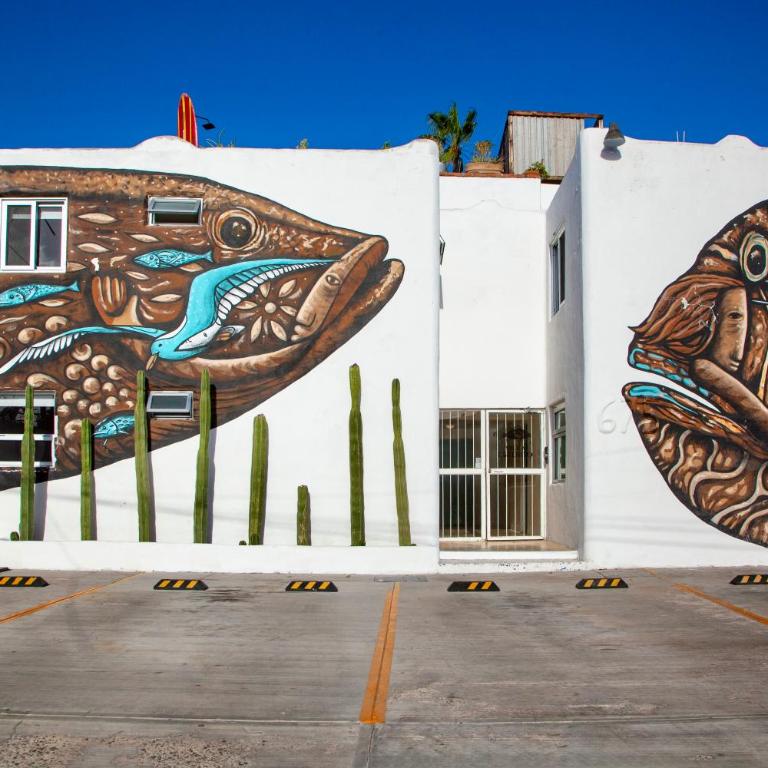 Villa Esterito - La Paz Baja California Sur - Suite Deluxe - 2