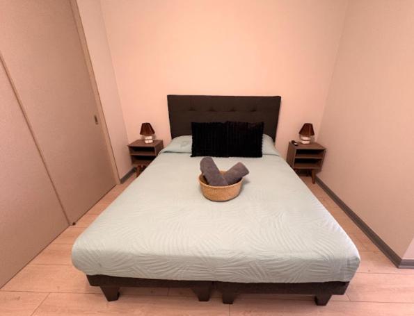Céntrico Studio en Barrio Yungay I Santiago Centro - One-Bedroom Apartment - 8