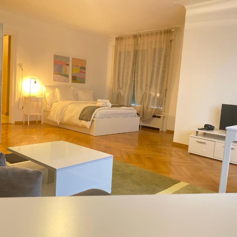 Bright & Fully Furnished Flat in Lausanne - Apartment mit 1 Schlafzimmer - 5