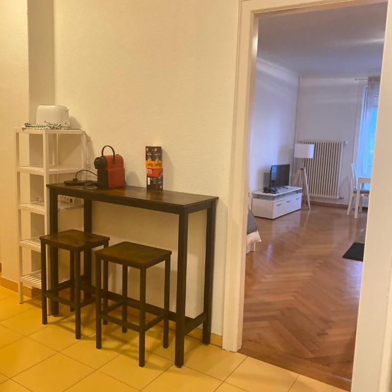 Bright & Fully Furnished Flat in Lausanne - Apartment mit 1 Schlafzimmer - 4