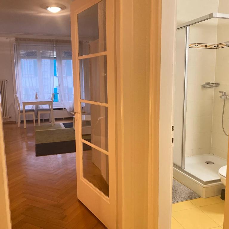 Bright & Fully Furnished Flat in Lausanne - Apartment mit 1 Schlafzimmer - 7
