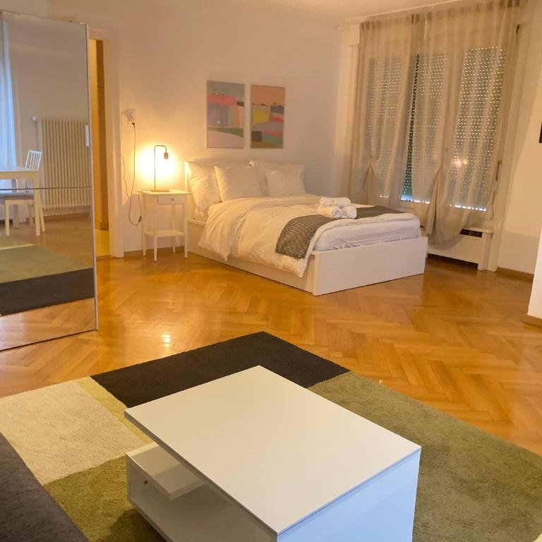 Bright & Fully Furnished Flat in Lausanne - Apartment mit 1 Schlafzimmer - 10