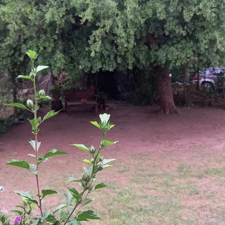 Los Alarez 2 - One-Bedroom Apartment - 5
