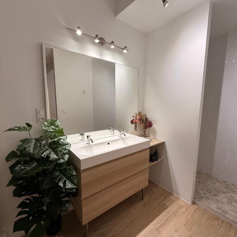 Secret des bulles Spa et champagne - Appartement 1 Chambre - 4