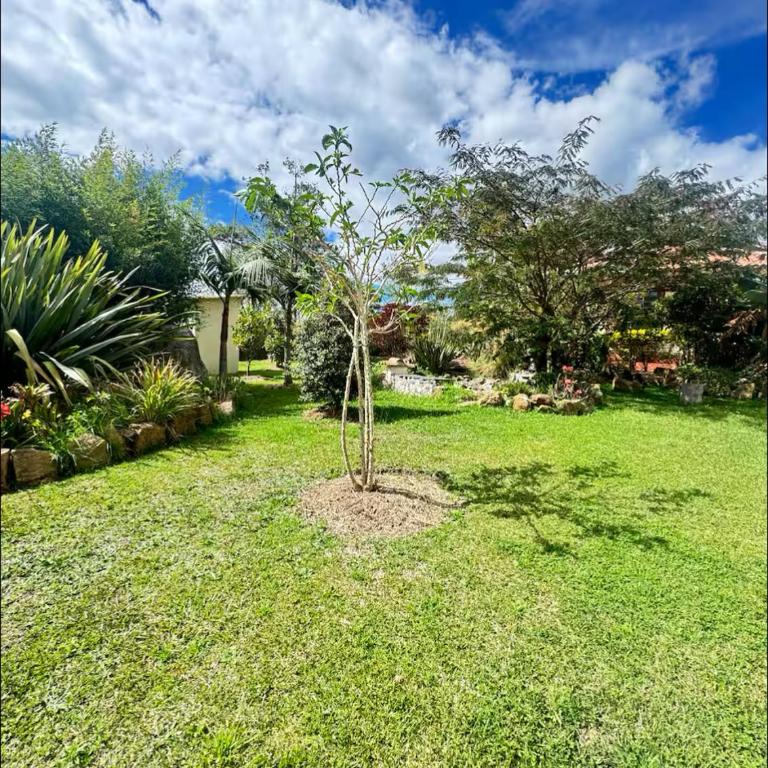 Hostal Boutique Nariño Plaza - Seven-Bedroom House - 8