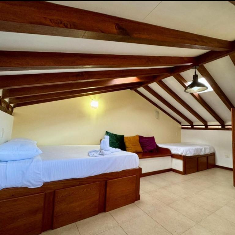 Hostal Boutique Nariño Plaza - Seven-Bedroom House - 3