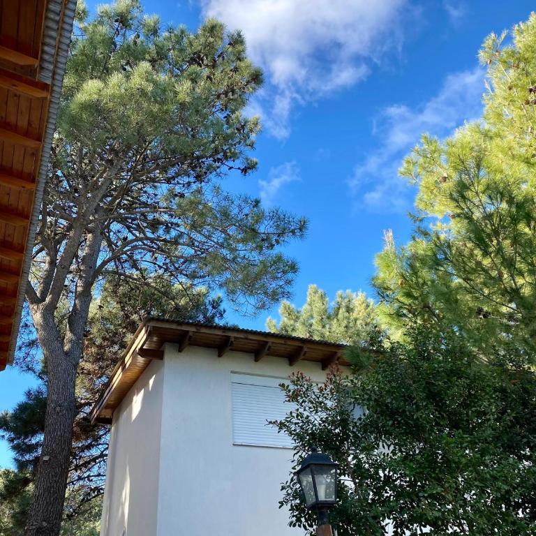 Complejo Pinar del Golf - Apartamento de 2 dormitorios - 4