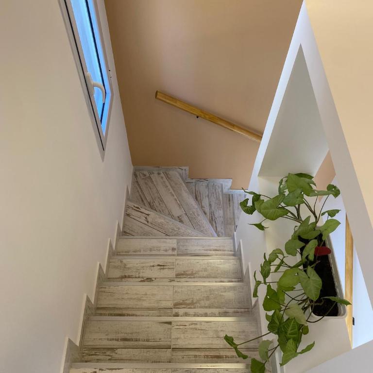 Complejo Pinar del Golf - Apartamento de 2 dormitorios - 8