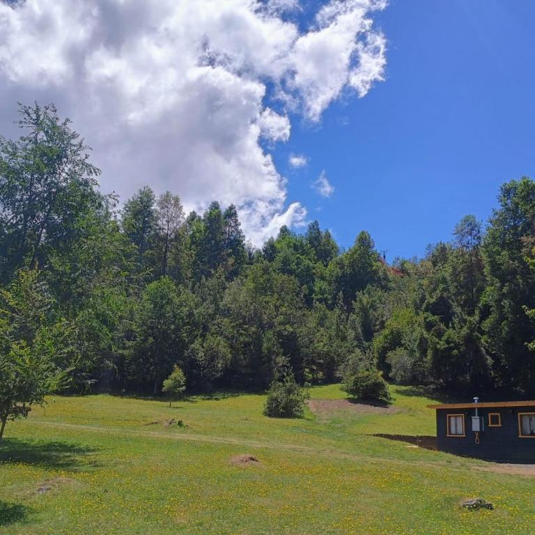 Cabaña TinyHouse - One-Bedroom Apartment - 12