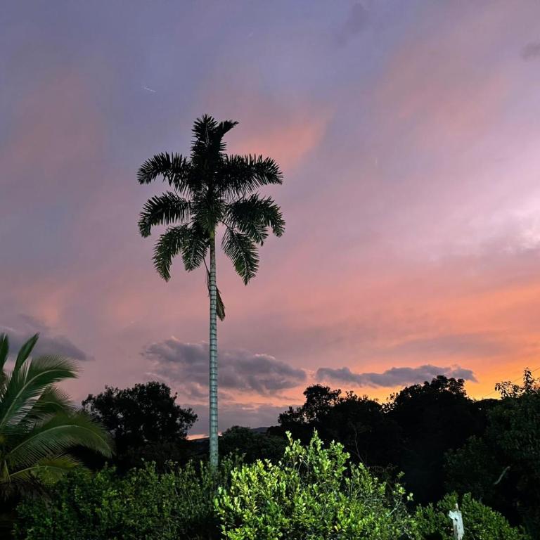 Casa Merak Villa de Lujo con Piscina Infinita y Vista 360 Desconexión Total Oiba Santander - Villa Superior - 8