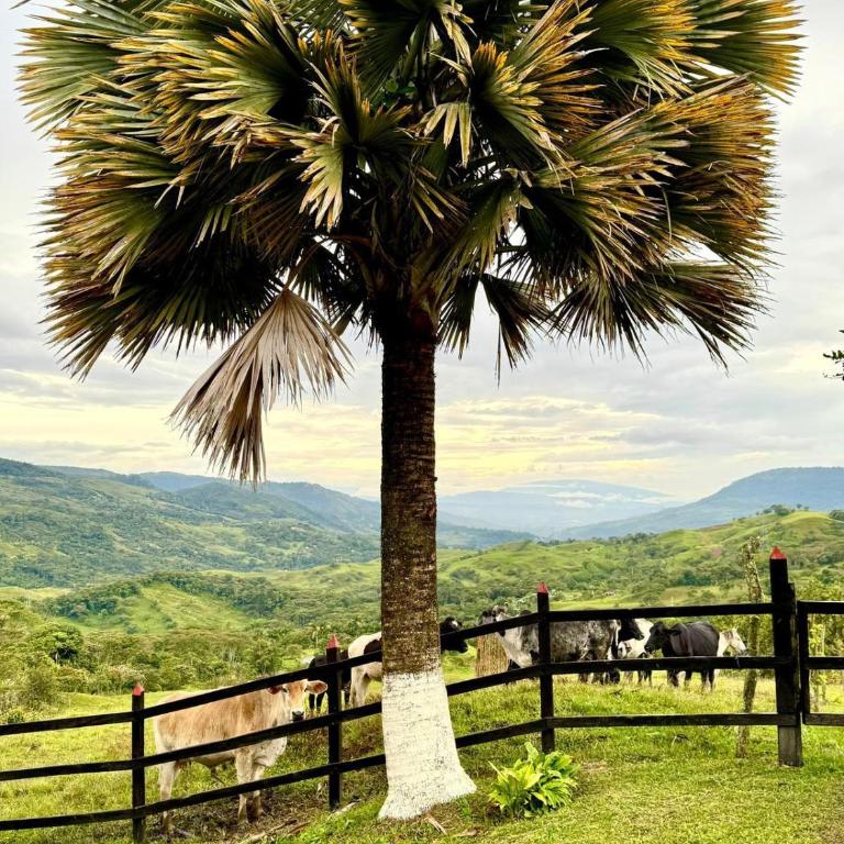 Casa Merak Villa de Lujo con Piscina Infinita y Vista 360 Desconexión Total Oiba Santander - Villa Superior - 11