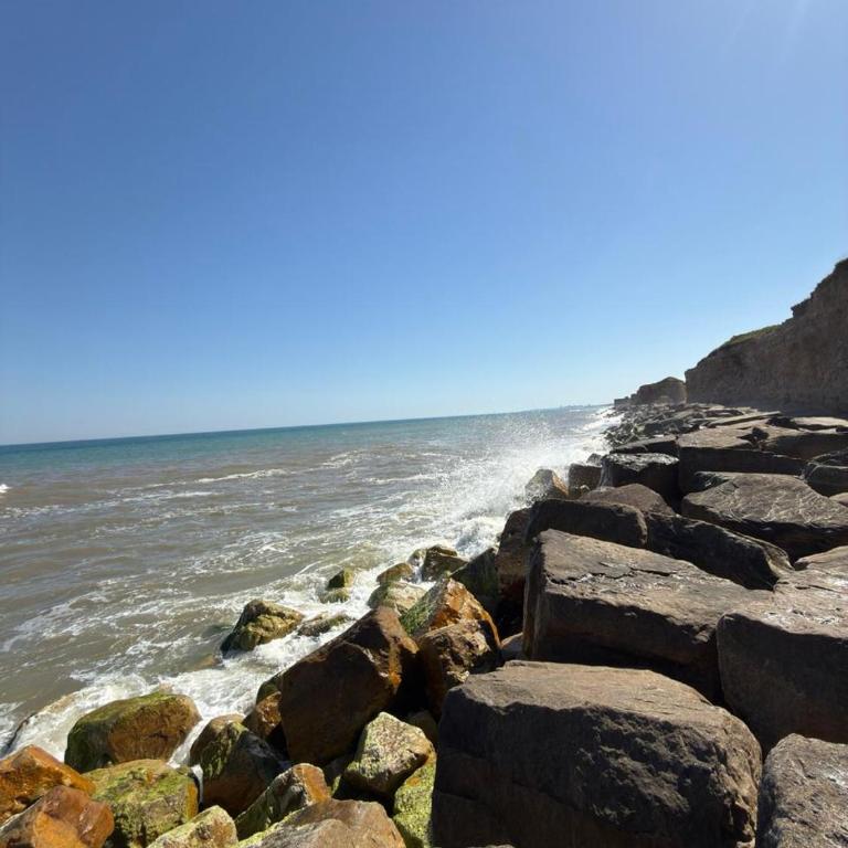 yula beach house - Apartamento de 1 dormitorio - 17