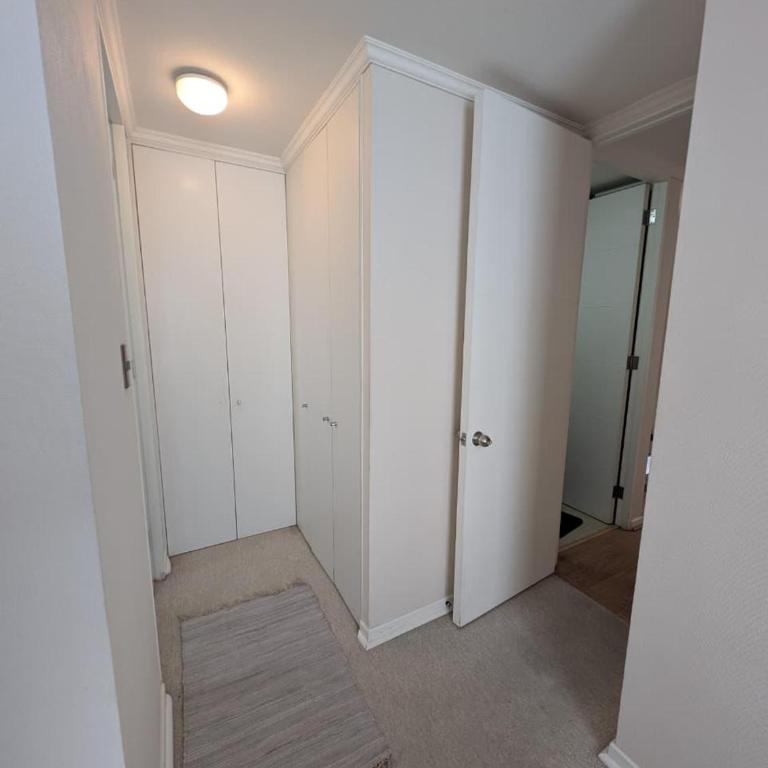 Departamento moderno y completamente equipado en exclusivo sector de Lomas de San Andres, Concepcion - Apartamento de 2 dormitorios - 3